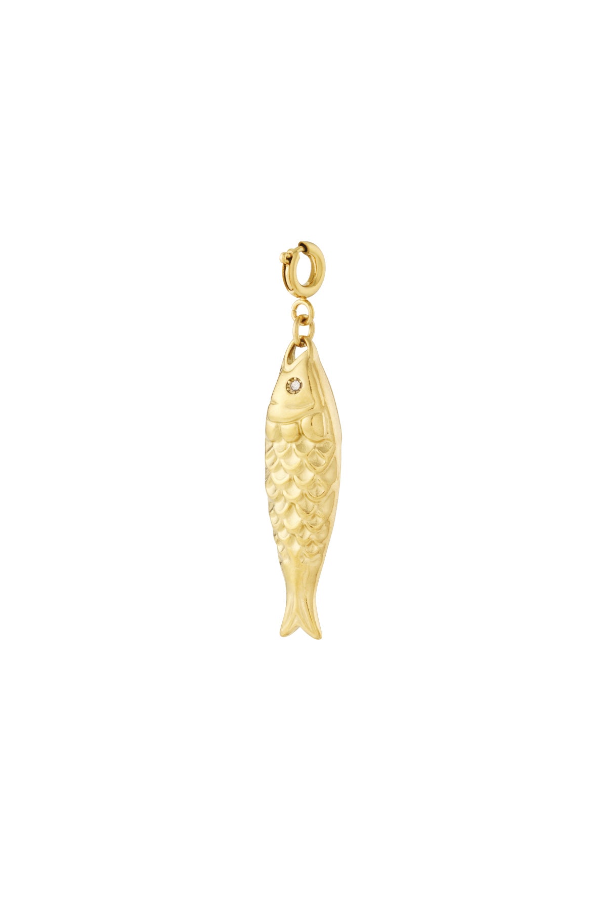 Bedel - Goud - Fish